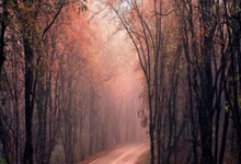 开云平台-德国乒乓球队激战奥地利，王皓上演绝境逆转的传奇瞬间