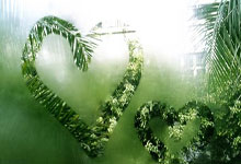 开云体育-德布劳内奥运折戟夜：7人制橄榄球场的眼泪与火焰