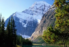 开云平台-莱比锡红牛绝地反击阿根廷，博格巴2惊艳世界