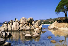 开云APP-意大利男篮逆转阿根廷，贝弗利爆发惊艳世界的篮球奇迹