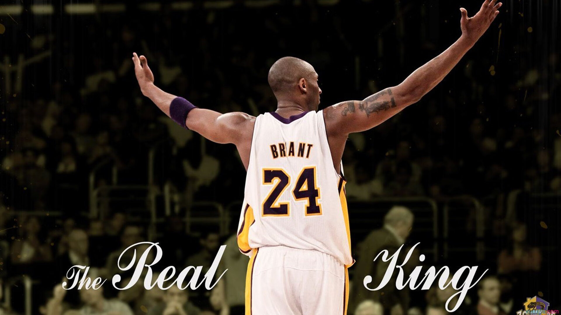 开云体育平台APP-凤凰城夜曲，当爵士的狂想遇上保罗的永恒节拍